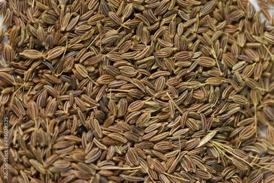 Dried Caraway Seeds