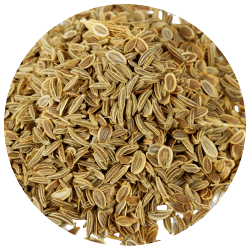 Dried Dill Weed seeds