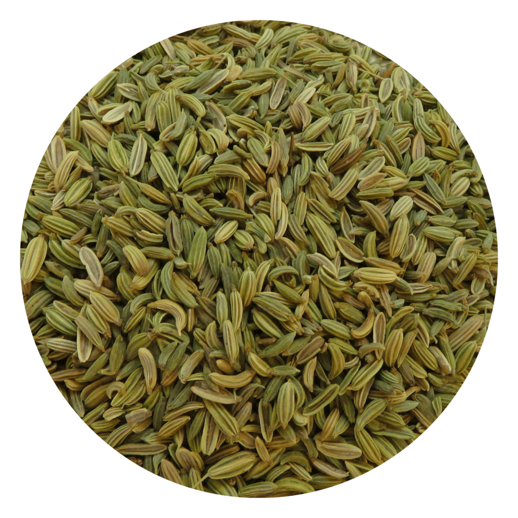 Dried Fennel seeds